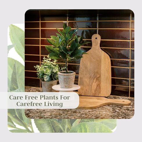 Faux Rosemary Plant & Olive Topiary ، محددات داخلية مصطنعة من 2 ، يعزز التصميم الداخلي ، ويفعل الأوراق التي تشبه الحياة مظهرًا طبيعيًا واقعيًا ، وعاء زارع رمادي مشمل in Kuwait