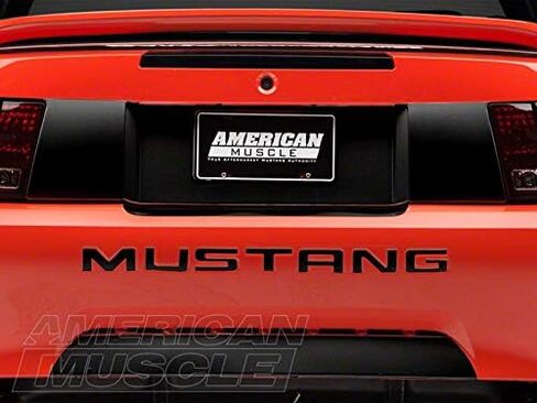 SEC10 Lower Rear Valance Accent; Matte Black Compatible for 99-04 Mustang GT, V6, Mach 1; 1999 Mustang Cobra in Saudi Arabia