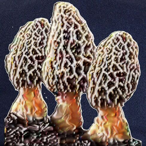 CafePress Morel Mushrooms Adjustable Baseball Cap in Saudi Arabia