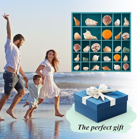 Seashell Holder - Wooden Turquoise Shadow Box with 28 Grids Memory Display Case - Ocean Themed, Coastal Room Decor Storage Organizer for Shells, Beads, Treasures, 9.8x9.8x3 Inch in Saudi Arabia