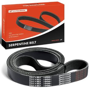 A-Premium Heafty-Duty-Duty Serpentine Drive Belt متوافق مع Freightliner & International Harvester Cars-M2 106 2010-2021 ، M2 112 2013-2021 ، 4400 2004-2007 ، 8500/4400LP 2005-2007 ، 8600 SBA 2005 ، RXT in Kuwait