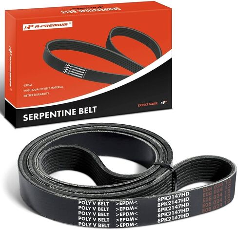 A-Premium Heafty-Duty-Duty Serpentine Drive Belt متوافق مع Freightliner & International Harvester Cars-M2 106 2010-2021 ، M2 112 2013-2021 ، 4400 2004-2007 ، 8500/4400LP 2005-2007 ، 8600 SBA 2005 ، RXT in Saudi Arabia