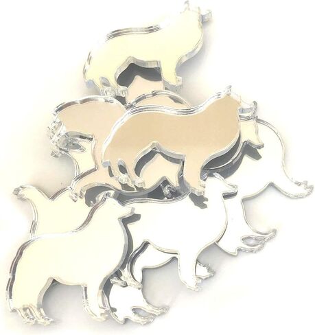 Super Congions COLLIE COLLIE DOG DASK على شكل مرايا ، مجموعة من 10 ، العديد من الألوان ، أكريليك مقاوم للتشويش ، مرآة فضية ، حزمة من 10 × 3 سم in Kuwait