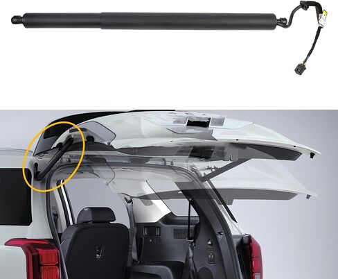 داسبيكان الخلفي الخلفي للخلع الكهربائي الدعم الدعم لدعم صدمة الدعم متوافق مع Hyundai Palisade 2020 2021 2022 2023 2024 استبدال# 81831-S8100 81831S8100 الجانب الأيسر 1 PCS in Saudi Arabia