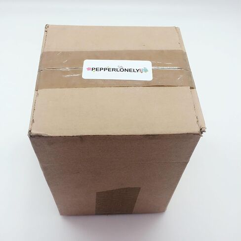 PEPPERLONELY قذائف نوتيلوس ذات غرف بيضاء طبيعية 4 بوصة ~ 5 بوصة in Kuwait