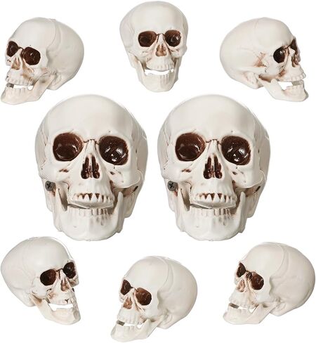 4 Pcs Skull Heads Halloween Decor Include 1 Life Size Skeleton Skull and 3 Small Plastic Skulls with Moveable Chins for Halloween Party Props Table Graveyard Outdoor Home Decor Gift in Saudi Arabia