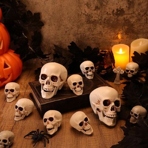 4 Pcs Skull Heads Halloween Decor Include 1 Life Size Skeleton Skull and 3 Small Plastic Skulls with Moveable Chins for Halloween Party Props Table Graveyard Outdoor Home Decor Gift in Saudi Arabia