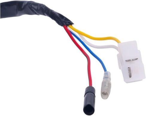 GY6 49CC 50CC 8-COIL MAGNETO المولد الثابت لـ 139QMB 139QMA SCROUTER MOPED ENRIVER (ملفات الإشعال المزدوجة) in Saudi Arabia