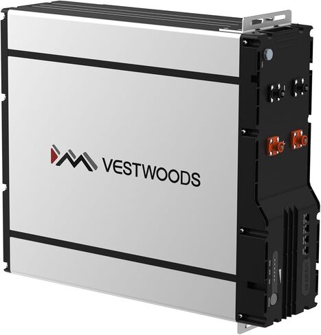 بطارية فيستوودز 48V 100AH الليثيوم ، 16 خلايا LIFEPO4 5.12 كيلو وات ، 100A BMS 5120W ، 15 سنة من الحياة ، رف وجدار ، نظام شمسي ، RV ، تخزين الطاقة البحري ، خارج الشبكة ، ألواح الطاقة الشمسية in Saudi Arabia