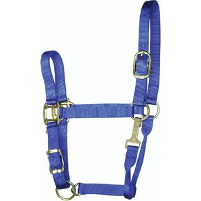 Hamilton 3-5 1-Inch Adjustable Quality Horse Halter with Yearling Snap for Horses 300 to 500-Pound, Blue