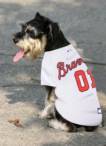 Pets First MLB Los Angeles Dodgers Dog Jersey, Large in Saudi Arabia