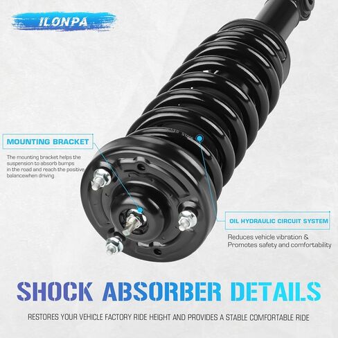 صدمات الدعامات الأمامية مع الينابيع لفائف 2009-2013 فورد F-150 4WD ، صدمة Strut application 171141 171140 ، Absorbers Assembly 2010 2011 2012 in Kuwait