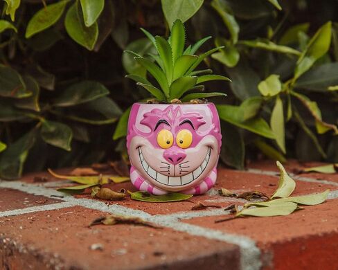 Silver Buffalo Disney Pixar Wall-E 4-Inch Ceramic Mini Planter with Artificial Succulent | Cute Small Flower Pot, Faux Indoor Plant for Desk Shelf in Kuwait