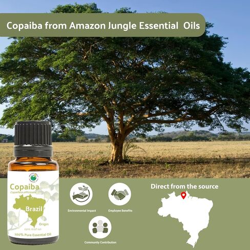 Copaiba Essential Oil - Direct from Brazil- Pure Essential Oil for Diffusers at Home | 100% Pure Therapeutic Grade (8oz) in Kuwait