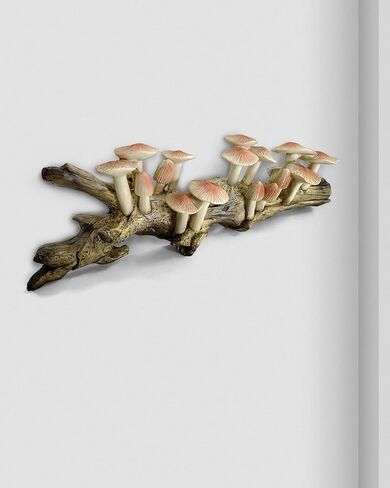 Tilibeika راتنجات الفطر جدار ديكور النحت ، معلقة Cottagecore Wall Art for Home Farmhouse ، ديكور خيالي ريفي للمكتب ، فطر الغابات هدية لغرفة المعيشة ، غرفة نوم ، مطبخ in Saudi Arabia