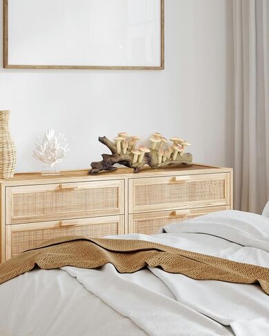 Tilibeika راتنجات الفطر جدار ديكور النحت ، معلقة Cottagecore Wall Art for Home Farmhouse ، ديكور خيالي ريفي للمكتب ، فطر الغابات هدية لغرفة المعيشة ، غرفة نوم ، مطبخ in Saudi Arabia