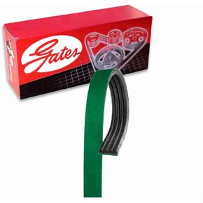 Gates AC Fletrunner Micro-V Serpentine Belt متوافق مع شيفروليه سيلفرادو 1500 4.8L 5.3L 6.0L V8 1999-2008 in Kuwait