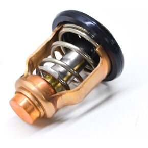 Yamaha 6ce-12411-00-00 ؛ ترموستات؛ 6CE124110000 in Saudi Arabia
