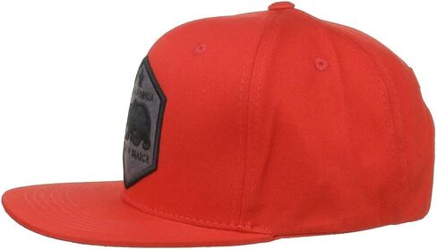 الأعلى المستوى العصري فلات بيل كاليفورنيا جمهورية الدب شعار Snapback كاب 297 in Kuwait