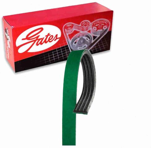 Gates AC FleetRunner Micro-V Serpentine Belt compatible with Chevrolet Silverado 1500 4.8L 5.3L 6.0L V8 1999-2008 in Saudi Arabia