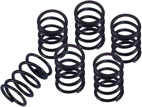 Barnett Clutch Springs (Standard) For 14-20 HONDA Grom in Saudi Arabia