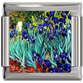 Irises Van Gogh Painting Italian Charm in Saudi Arabia