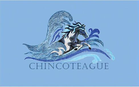 Cafepress Chincoteague Pony Oval Car Magnet ، Euro Oval Pumper Magnet in Kuwait