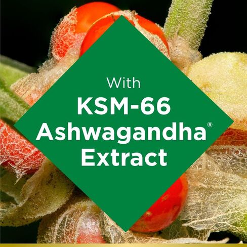Nature's Bounty Ashwagandha Gummies ، 300mg KSM-66 Ashwagandha Extract ، Berry Mixed Berry ، 60 Gummies in Saudi Arabia