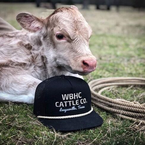 WHISKEY BENT HAT CO. White Gold Adjustable Snapback Hat (White) in Saudi Arabia