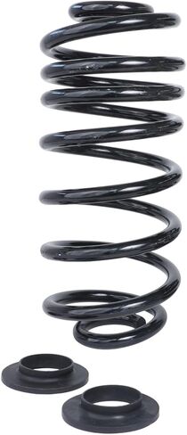Detroit Axle - 2 Rear Coil Springs for 2002-2009 Chevrolet Trailblazer GMC Envoy 2003 2004 2005 2006 2007 2008 Rear Coil Springs Conversion Replacement in Saudi Arabia