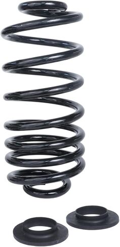 Detroit Axle - 2 Rear Coil Springs for 2002-2009 Chevrolet Trailblazer GMC Envoy 2003 2004 2005 2006 2007 2008 Rear Coil Springs Conversion Replacement in Saudi Arabia