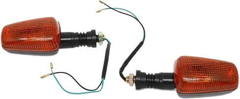 [Replacement] 2PC Motorcycle for Radian TURN SIGNAL For Yamaha for TW 200 XT 225 250 600 TW200 XT225 XT250 FZR FZR600 in Saudi Arabia