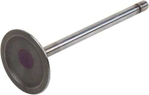 GM Parts Genuine 12575351 Engine Intake Valve in Saudi Arabia