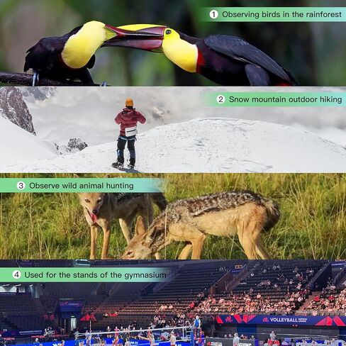 مناظير مضغوطة 8 × 32 مكونة للبالغين-المنشورات BAK4 عالية الطاقة ، والطلاء الأبيض الماس ، ومقاوم للماء ومضاد ، ومطاط مدرعة-مثالية لمشاهدة الطيور ، والصيد ، والسفر ، والرياضة الخارجية in Kuwait