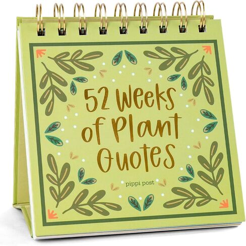 52 Weeks of Book Quotes Flip Display For Desk: Inspirational Desk Decor Aesthetic, Desk Gifts for Women Office, Book Lovers Gifts, Cute Desk Accessories, Motivational Quotes Decor in Kuwait