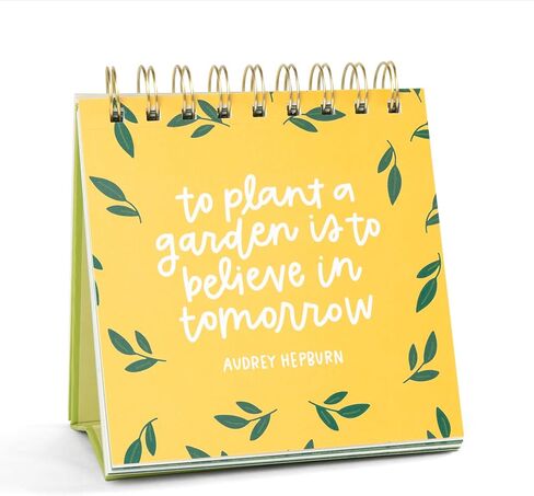52 Weeks of Book Quotes Flip Display For Desk: Inspirational Desk Decor Aesthetic, Desk Gifts for Women Office, Book Lovers Gifts, Cute Desk Accessories, Motivational Quotes Decor in Kuwait