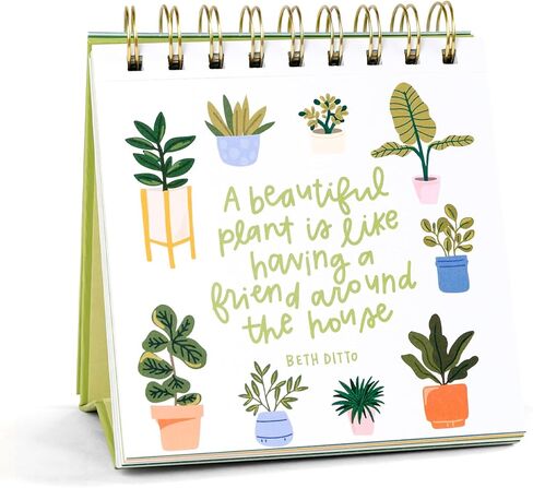 52 Weeks of Book Quotes Flip Display For Desk: Inspirational Desk Decor Aesthetic, Desk Gifts for Women Office, Book Lovers Gifts, Cute Desk Accessories, Motivational Quotes Decor in Kuwait