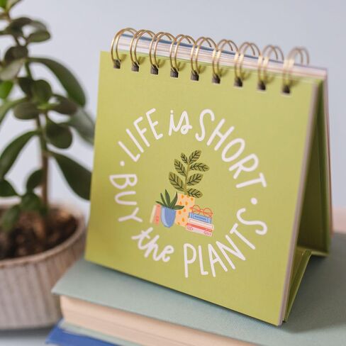 52 Weeks of Book Quotes Flip Display For Desk: Inspirational Desk Decor Aesthetic, Desk Gifts for Women Office, Book Lovers Gifts, Cute Desk Accessories, Motivational Quotes Decor in Kuwait