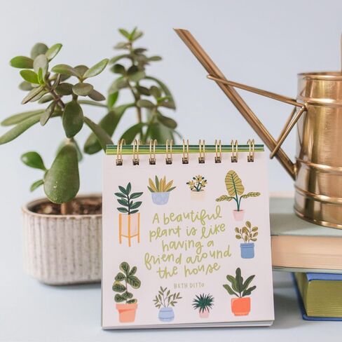 52 Weeks of Book Quotes Flip Display For Desk: Inspirational Desk Decor Aesthetic, Desk Gifts for Women Office, Book Lovers Gifts, Cute Desk Accessories, Motivational Quotes Decor in Kuwait