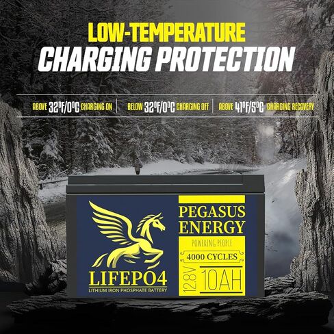12.8V 10Ah Lithium Iron Phosphate LiFePO4 Deep Cycle Rechargable Battery with Built-in BMS, 4000+ Cycles, Lightweight & Long Lasting for RV, Solar, Marine and Off-Grid Applications in Saudi Arabia