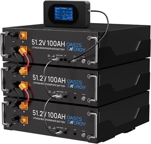 48V 400Ah LiFePO4 Lithium Battery, Built-in 100A BMS, with Touchable Display, RS485/CAN COMM Port, 20.48kWh Server Rack Batteryfor Solar System, Off-Grid Applications in Saudi Arabia