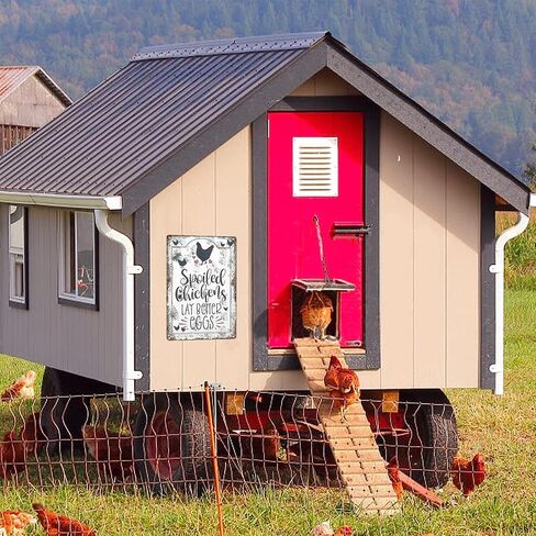 Vintage Chicken Coop Metal Signs - An Old Rooster & A Cute Chick Live Here Chicken Tin Sign, Funny Metal Signs Accessories Outdoor Home Wall Decor 8x12 inch in Saudi Arabia