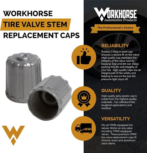 Workhorse Automotive Replacement Black TPMS Tire Valve Stem Caps Pack of 50 in Kuwait