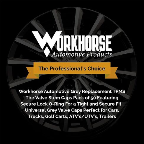 Workhorse Automotive Replacement Black TPMS Tire Valve Stem Caps Pack of 50 in Kuwait