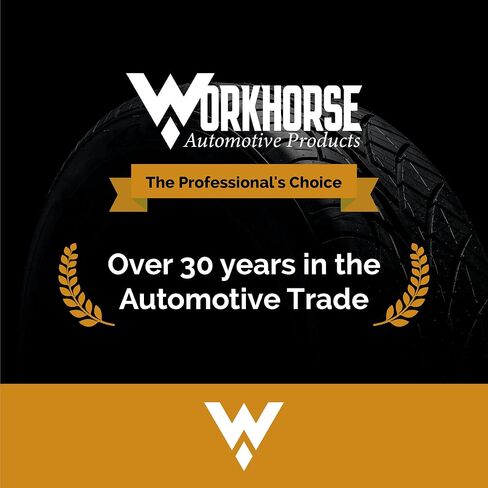 Workhorse Automotive Replacement Black TPMS Tire Valve Stem Caps Pack of 50 in Kuwait