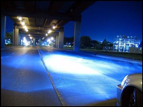 XENTEC H11 (H8/H9) 8000K HID Xenon Bulb x 1 pair (Iceberg Blue) in Saudi Arabia