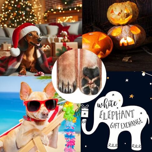 Christmas Gifts Funny Animal Paw Socks Stocking Stuffers for Adults Women Men Teen White Elephant Gifts Gag Gift in Saudi Arabia