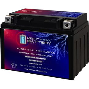 Mighty Max Battery YTZ12S 12V 11AH Battery for Honda 250 PS250 Big Ruckus 2005-2008 in Saudi Arabia