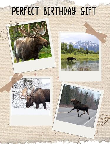 InnoBeta Moose Gifts, Gift For Moose Lovers on National Moose Day, Birthday and Chirstmas, One Size Crew Socks in Saudi Arabia