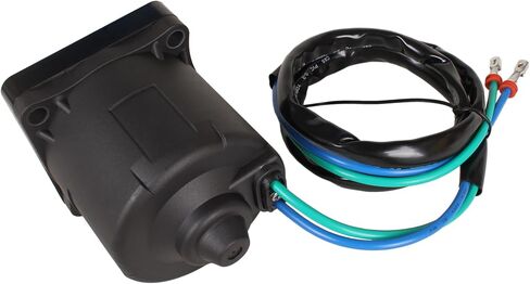Outboard Engine 0438786 0439937 438786 439937 5005254 Tilt Trim Motor for Evinrude Johnson OMC BRP 75HP-300HP V4 V6, 8M6007540 for Mercury, fit Sierra 18-6281, fit ARCO 6238 TRM0075 10844N PT305NM in Saudi Arabia